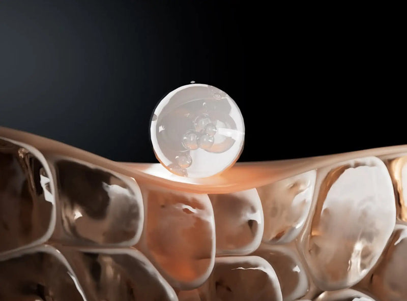 Stimulates Collagen & Elastin